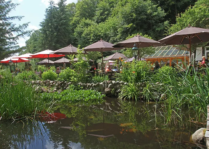 Hotel Boltenmühle
