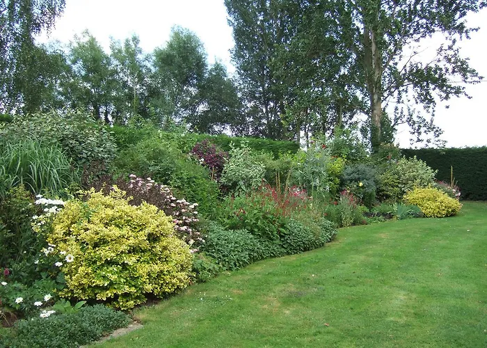 Lime Trees Farm