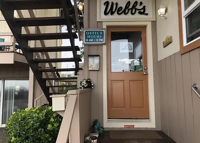 Webb'S Scenic Surf
