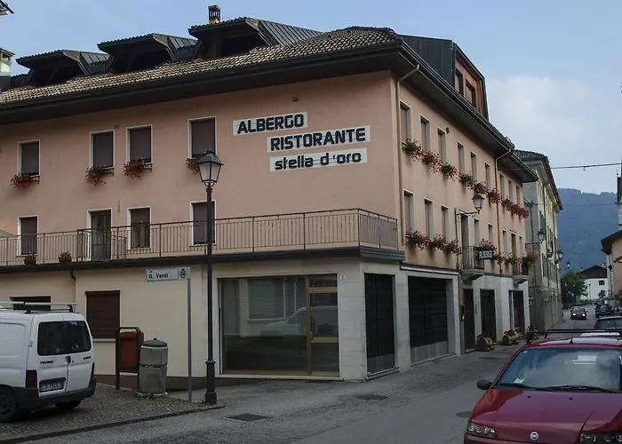 Stella d'Oro