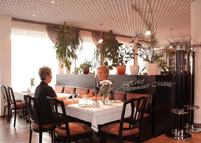 Hotel Demminer Mühle