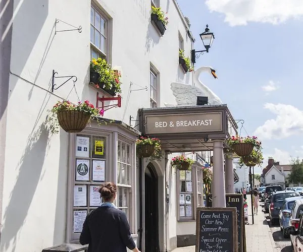 The Swan