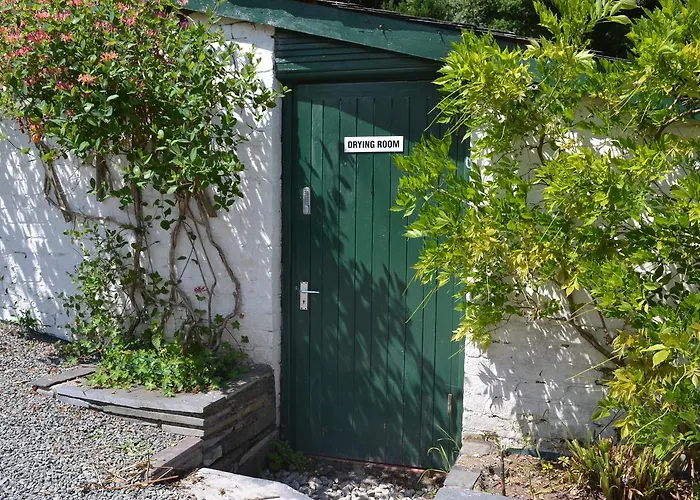 Coed-Y-Fron