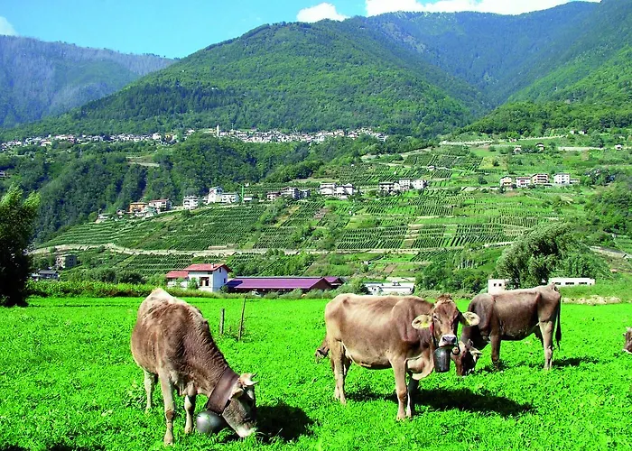 Bed and Breakfast Terre Alte Buglio in Monte