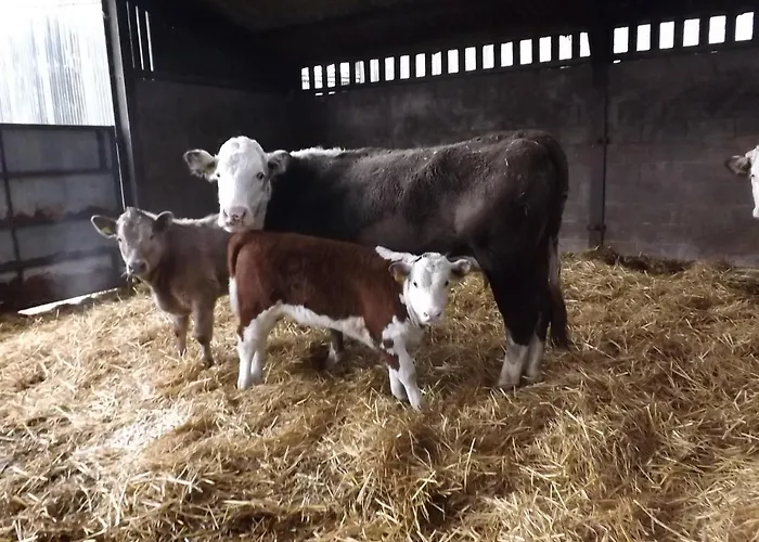 Peartree Farm