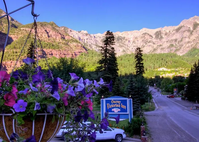 Ouray Dog Friendly Hotels