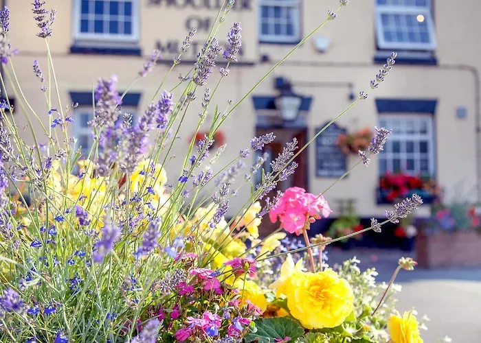 The Shoulder Of Mutton Inn Hamstall Ridware
