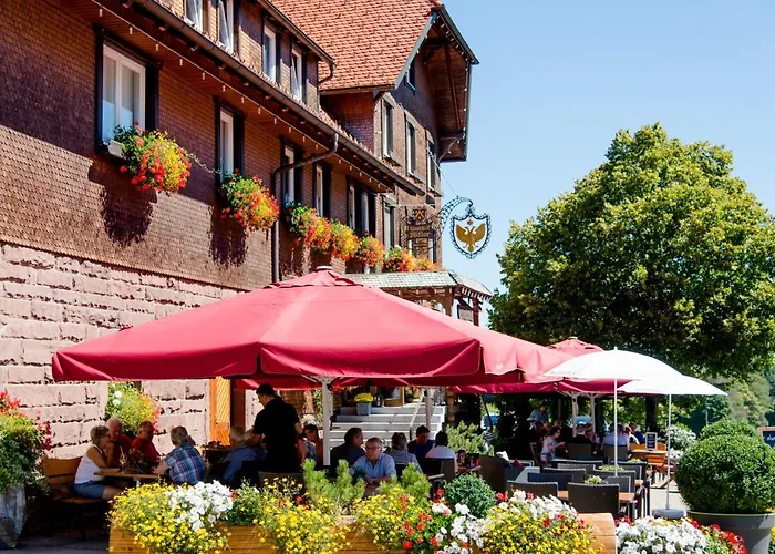 Land-gut-Hotel Höhengasthof Adler Lauterbach 
