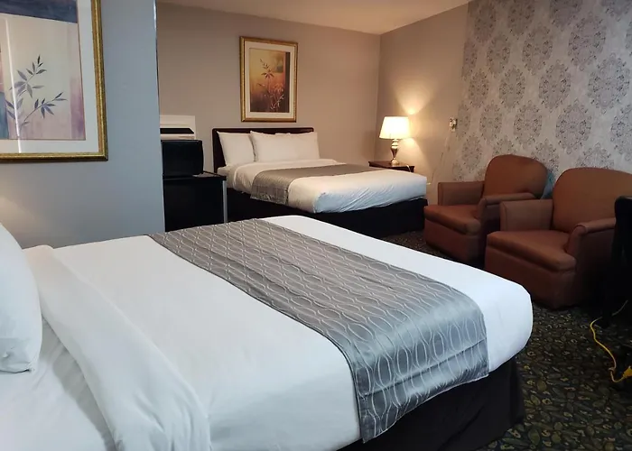 Cornwall Dog Friendly Hotels