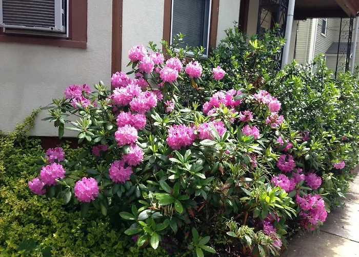 Bowers House Bnb Harvard Mit Cambridge Boston