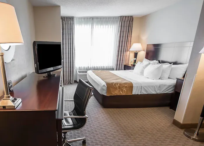 Comfort Suites University Area Notre Dame-South Bend