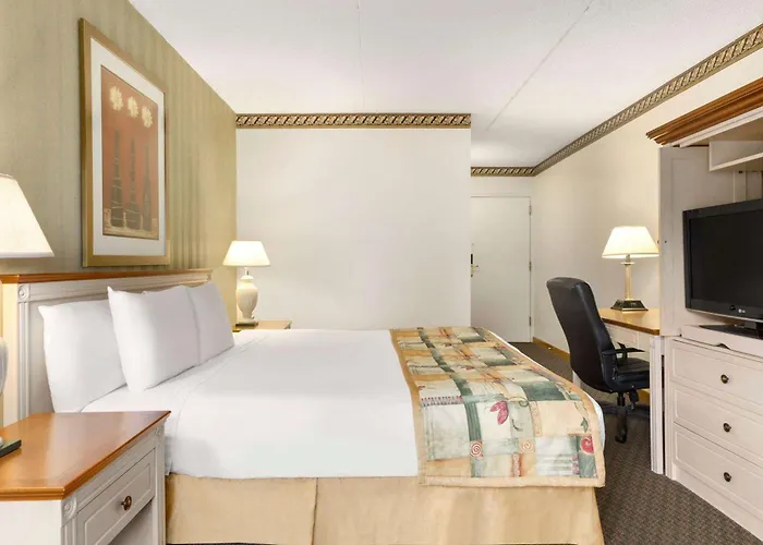 Owen Sound Dog Friendly Hotels