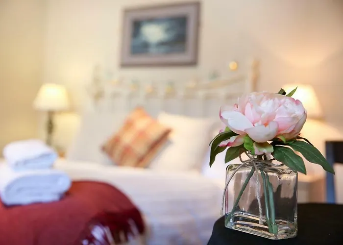 Cobbleview Rooms