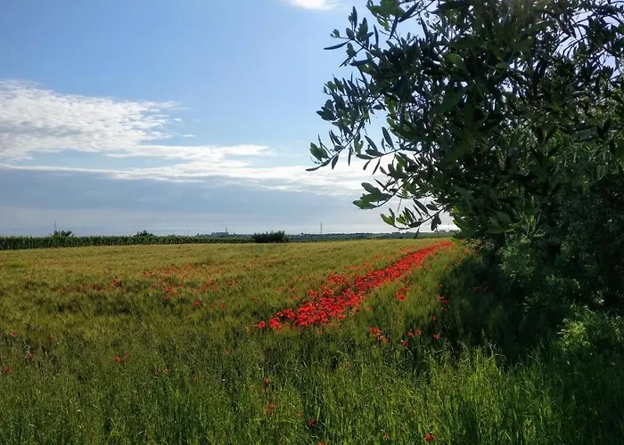 Punta Aderci Rooms Vasto