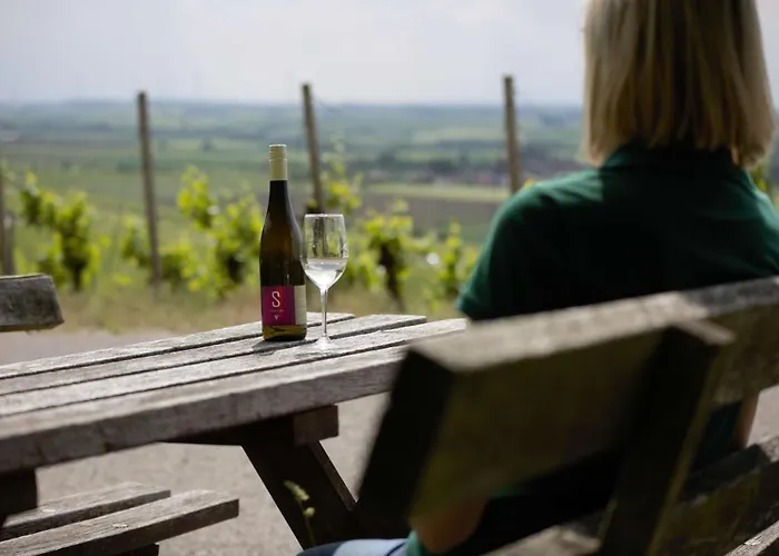 Hotel Weingut Schilling Seinsheim