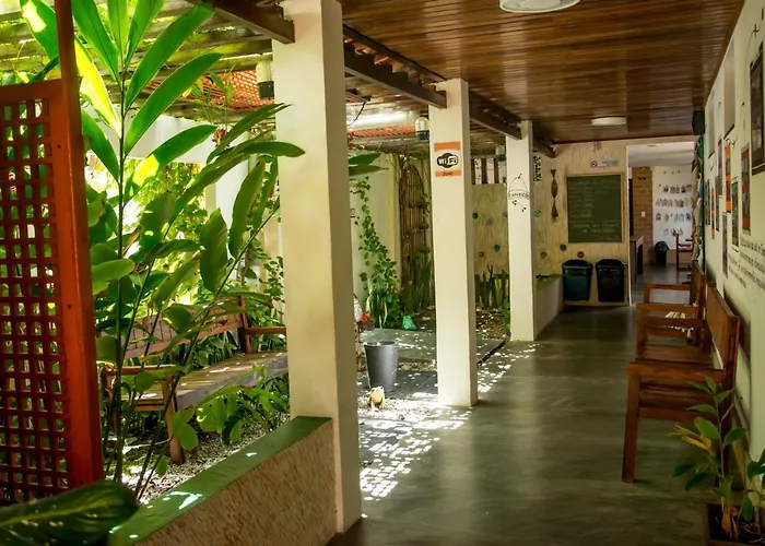Casa do Sertão - Vila Aju