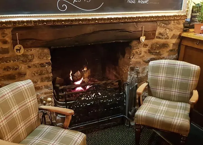Ludlow Dog Friendly Hotels