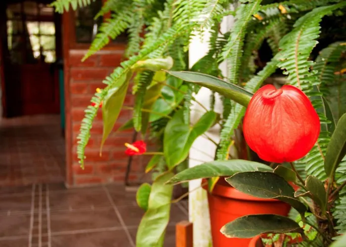 El Pedron Hotel