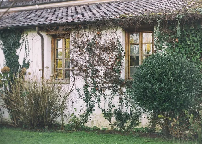 La Casona De Amandi