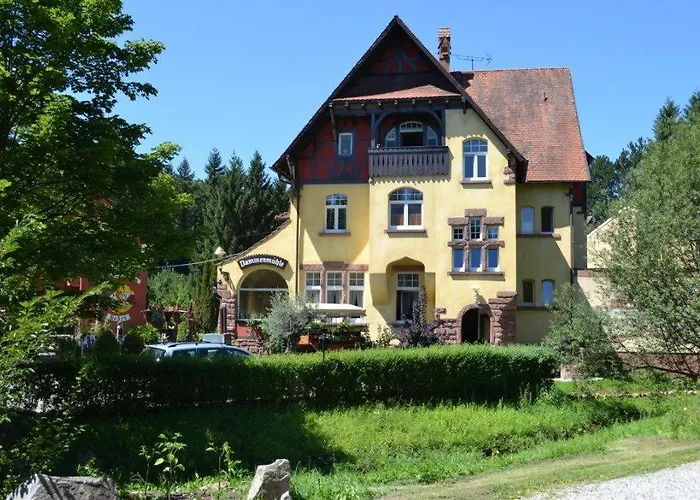 Hotel Dammenmuehle Lahr 