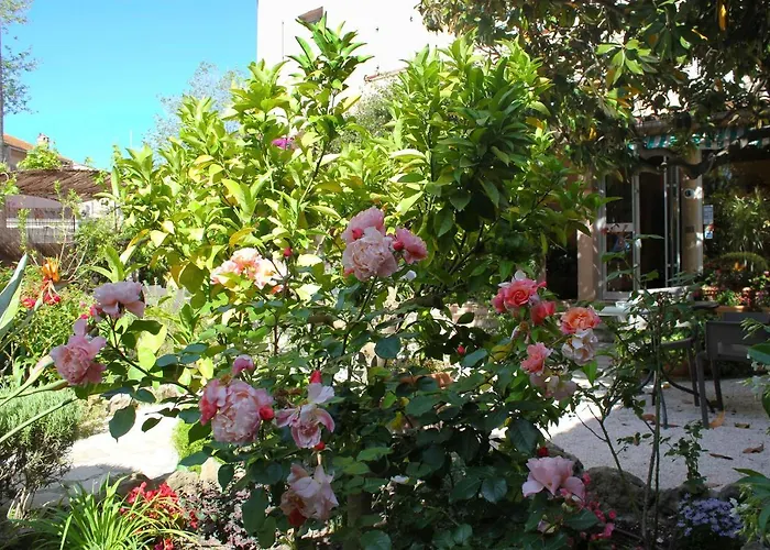 Hôtel Les Palmiers Saint-Tropez