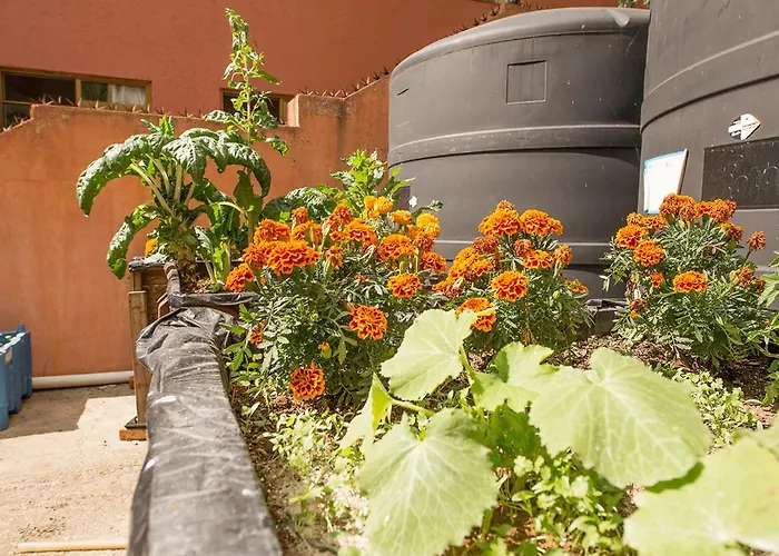 Casa Estrella de la Valenciana Hotel Boutique